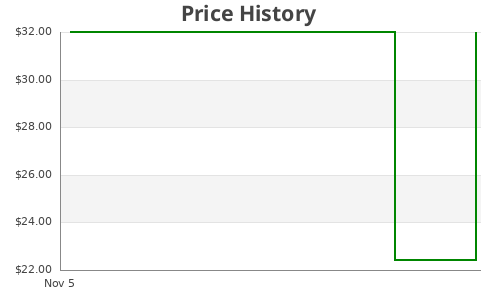 Stainless Steel Non-Porous Gua Sha