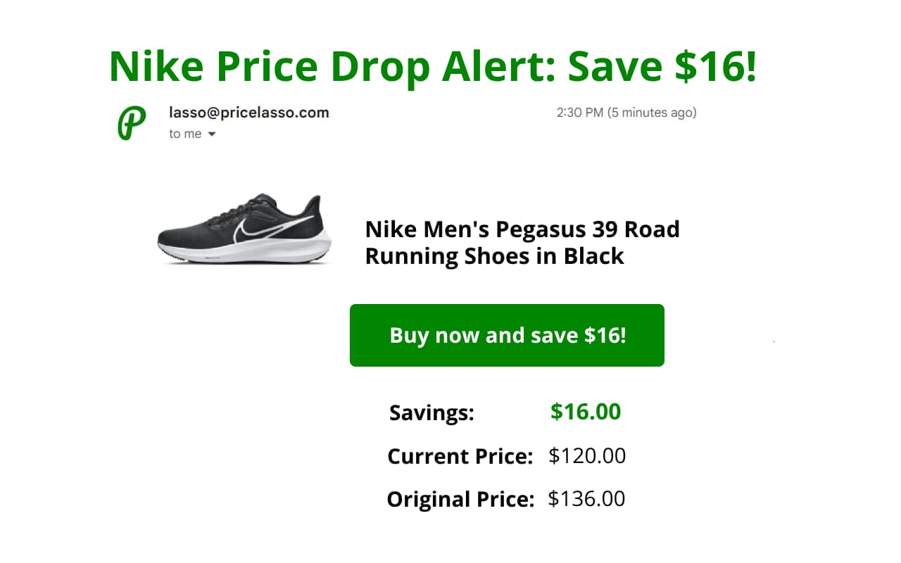 Example of Nike price drop email